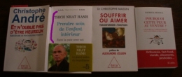 Bouquins 2.JPG
