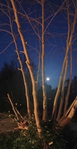 #14 Vers le haut 20260401.jpg