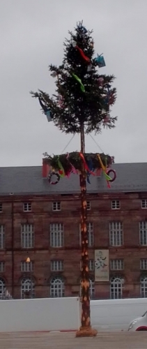 Narrebaum Arbre des Fous Saverne 2023 (1).jpg