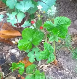 WP_20180524_004.jpg
