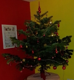 IMG_20201205_200746_2.jpg