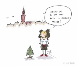Sapin Kléber 2017.jpg
