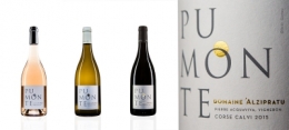 olivier gomez,photographe corse,alzipratu,pumonte,bouteilles,vin,balagne,corse