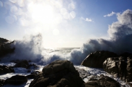 olivier gomez,photographe corse