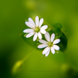 05032021-O_G_2687blogfb.jpg