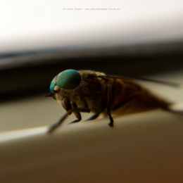 17062021-O_G_5637BLOG.jpg