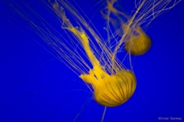 IMG_2923bis2.jpg
