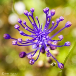 IMG_8688blog.jpg