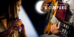 U TIMPANU 2015 BLOG.jpg
