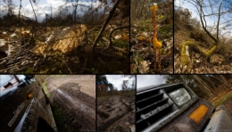 4X4 BLOG2.jpg