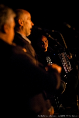 olivier gomez photographe corse zamballarana concert parc salecc