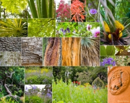 jardinplantesmontpblog.jpg