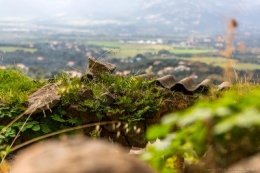 olivier gomez,photographe corse,village corse,lumiu