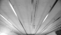 IMG_20241219_152445bisBLOG copie.jpg