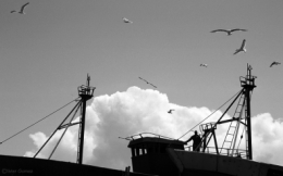 A) Essaouira (54)bis.jpg