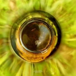 IMG_20240406_175145BLOG copie.jpg