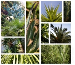 DE LA VERDURE 2.jpg