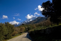 IMG_0765bisblog.jpg