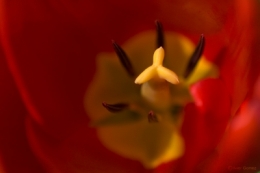 IMG_0403bis.jpg