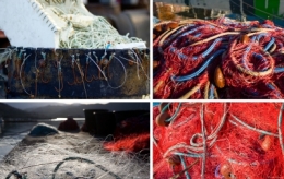 olivier gomez,photographe corse,nature,peche,tradition