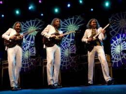 Tryptique Robben Ford.jpg