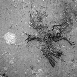 20022020-O_G_1355blog.jpg