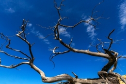 olivier gomez,photographe corse,olivier bianconi,capu di corduvella,montegrosso,balagne,corsica