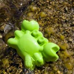 CRABE MARTIEN.jpg