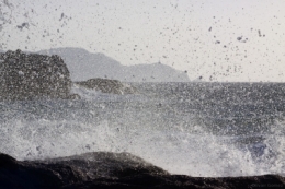 IMG_3529bis.jpg