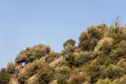 olivier gomez,photographe corse,zilia,village,balagne,haute corse