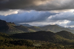 11052023-IMG_7260BLOG copie.jpg