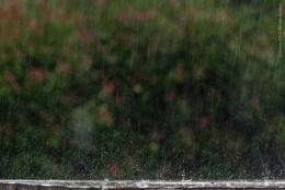 olivier gomez,photographe corse,pluie