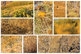 PATCHWORK 8.jpg