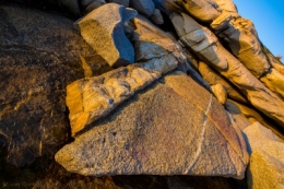 24032011-IMG_4529bisblog.jpg