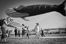 olivier gomez photographe corse dieppe cerf volant festival 2014