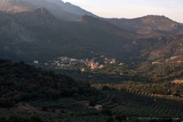 olivier gomez,photographe corse,speloncato,feliceto,balagne,haute corse
