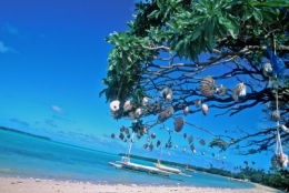 olivier gomez,photographe corse,ile des pins,nouvelle caledonie,pacifique sud