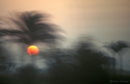 TRANSEGYPTIEN blog.jpg