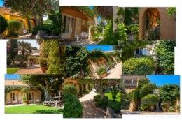 CARAVELLE JARDIN BLOG.jpg