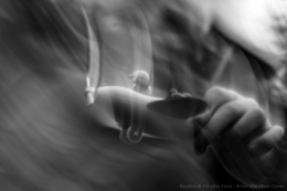 O_G_0244-1-2n&b blog.jpg