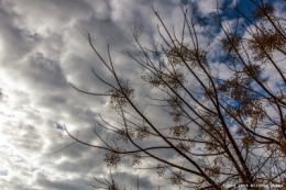 olivier gomez,photographe corse,village corse,lumiu