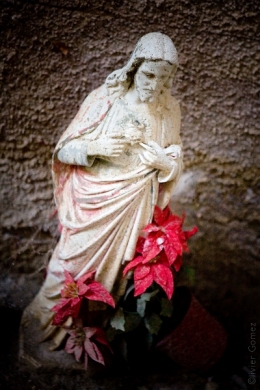 IMG_4882bis.jpg