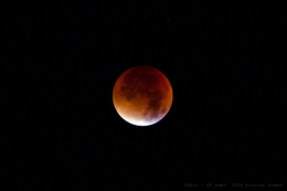 28092015-IMG_6022-3 blog.jpg