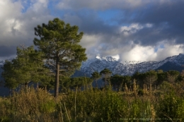 IMG_0977bisblog.jpg
