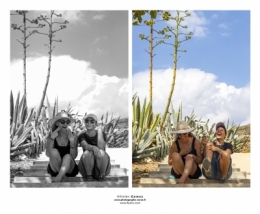 LE CAP BLOGs copie.jpg