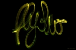 IMG_5866bisblog.jpg