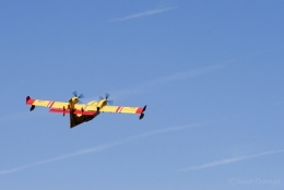 CANADAIR.jpg
