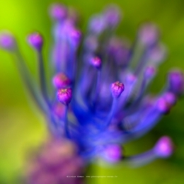 17032021-O_G_3230 CARRE BLOG.jpg