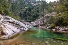 olivier gomez photographe corse pose longue forêt bonifatu