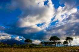 olivier gomez photographe corse